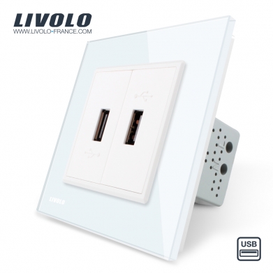 Double prise USB avec transformateur blanc - Livolo France
