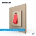 Interrupteur à bouton-poussoir électrique haute puissance Livolo EU standard 20A