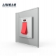 Interrupteur à bouton-poussoir électrique haute puissance Livolo EU standard 20A GRIS