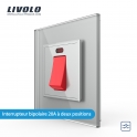 Interrupteur à bouton-poussoir électrique haute puissance Livolo EU standard 20A GRIS