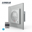 Thermostat avec relais Gris