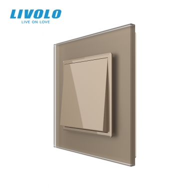 Interrupteur à impulsion à bascule ou bouton poussoir champagne